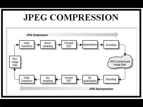 jpeg image compression standard